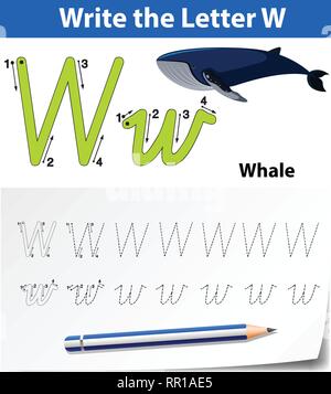 Letter W tracing alphabet worksheets illustration Stock Vector