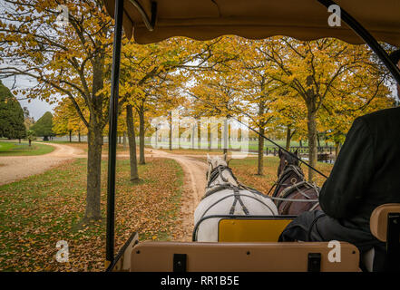 Two horses pulling a carriage, in the autumn, on a dirt road man driver with whip in hand. Stock Photo