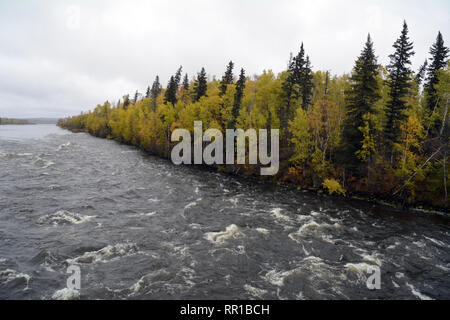 Otter Rapids on the Churchill River and the autumn colours of the boreal forest near the village of Missinipe in northern Saskatchewan, Canada. Stock Photo