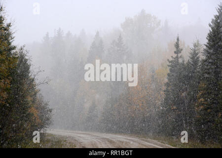 A heavy early autumn snowfall on a remote forest road in Prince Albert National Park, northern Saskatchewan, Canada. Stock Photo
