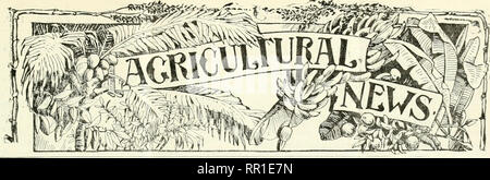 . Agricultural news. Agriculture -- West Indies; Plant diseases -- West Indies. . Please note that these images are extracted from scanned page images that may have been digitally enhanced for readability - coloration and appearance of these illustrations may not perfectly resemble the original work.. Great Britain. Imperial Dept. of Agriculture for the West Indies. Bridgetown, Barbados, Bowen &amp; sons; Stock Photo
