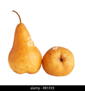 Pear two organic natural pears isolated on white Stock Photo