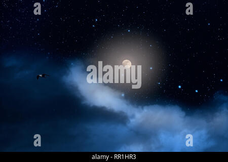 Nearly full moon, shining, on a starry night with some clouds and a passing bird Stock Photo