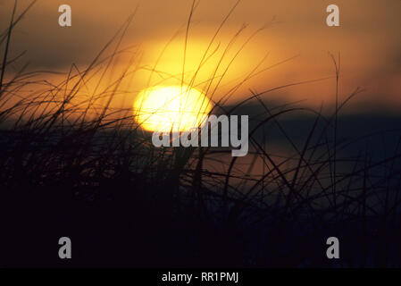 The sun sets over a marsh on Cape Cod Bay, Massachusetts, USA Stock Photo