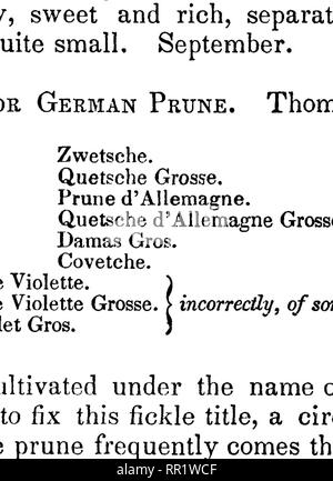 . The fruits and fruit trees of America;. Fruit-culture; Fruit. RED OR PURPLE PLUMS. 811 ing and preserving—abundant bearers, and hanging long on the tree. The common German Prune is described as follows. Branches smooth. Fruit long-oval, near two inches long, peculiarly swollen on one side, and drawn out towards the stalk. Suture distinctly marked. Skin purple, with a thiok blue bloom. Stalk three-fourths of an inch long, slender, slightly inserted. Flesh firm, green, sweet and pleasant, separates from the stone, which is flat, very long, and a little curved. Ripens about the 10th of Septembe Stock Photo