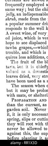 . The fruits and fruit trees of America;. Fruit-culture; Fruit. RED AND WHITE CURRANTS. 203 footj to three feet from the ground. The after treatment is of the simplest kind, thinning out the superfluous wood every winter, is all that is required here. Those who desire berries of an extra large size stop, or pinch out, the ends of all the strong growing shoots, about the middle of June, when the fruit is two- thirds grown. This forces the plant to expend all its strength in enlarging and maturing the fruit. And, we may add to this, that it is better not to continue the cultivation of currant tr Stock Photo