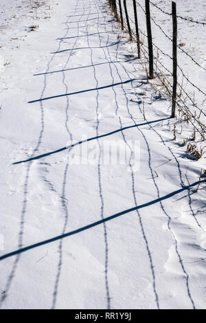 Barbed wire fence casts shadows on fresh snow; Vandaveer Ranch; Salida; Colorado; USA Stock Photo