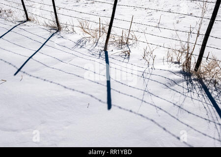 Barbed wire fence casts shadows on fresh snow; Vandaveer Ranch; Salida; Colorado; USA Stock Photo