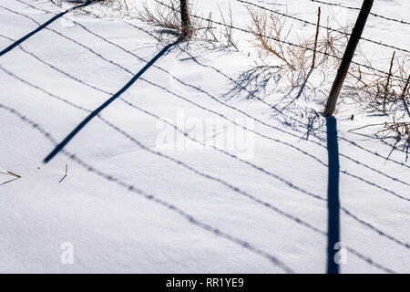 Barbed wire fence casts shadows on fresh snow; Vandaveer Ranch; Salida; Colorado; USA Stock Photo