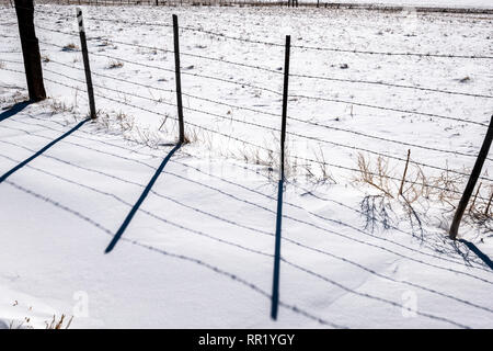 Barbed wire fence casts shadows on fresh snow; Vandaveer Ranch; Salida; Colorado; USA Stock Photo