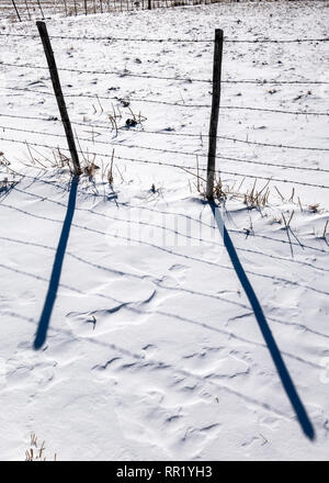 Barbed wire fence casts shadows on fresh snow; Vandaveer Ranch; Salida; Colorado; USA Stock Photo