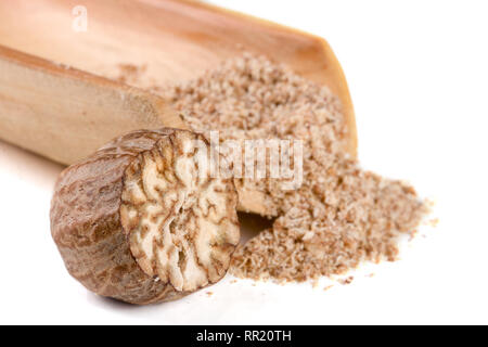 one nutmeg and powder in the scoop isolated on white background Stock Photo