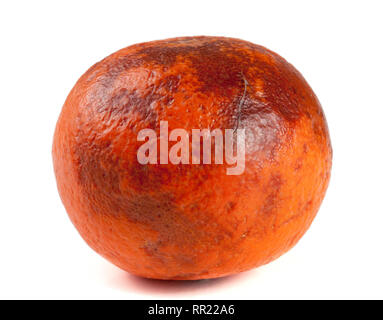 one damaged tangerine isolated on white background Stock Photo