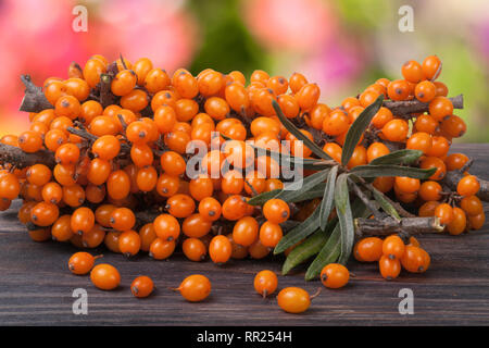 Sea buckthorn branch on a wooden table with blurred garden background Stock Photo
