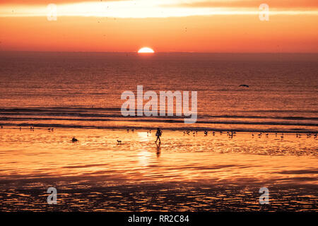 Blackpool, UK. 23rd February 2019, Blackpool North Sore, Blackpool, Lancashire Walkin the dog at snset across the beach at Blackpool in the last rays of the sun Credit: Photographing North/Alamy Live News Stock Photo