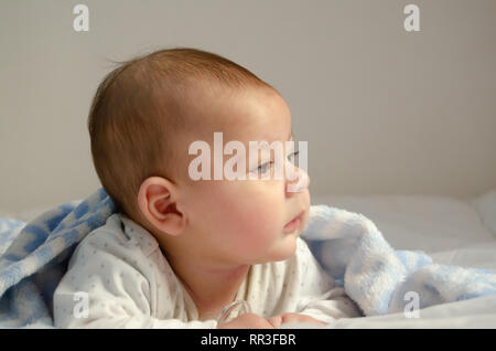 cute 4 months old baby boy having tummy time on white quilt covered with blue blanket - health and happy childhood concept Stock Photo
