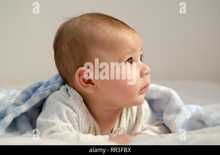 cute 4 months old baby boy having tummy time on white quilt covered with blue blanket - health and happy childhood concept Stock Photo