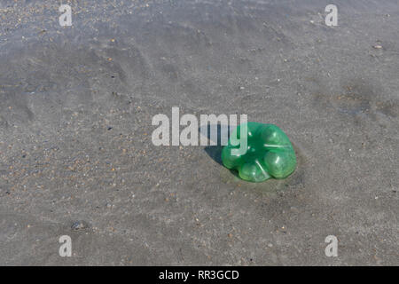 Empty plastic soft drink bottle left embedded in silty sand of beach. For plastic beach pollution, ocean polluting plastic, plastic bottles UK beach. Stock Photo