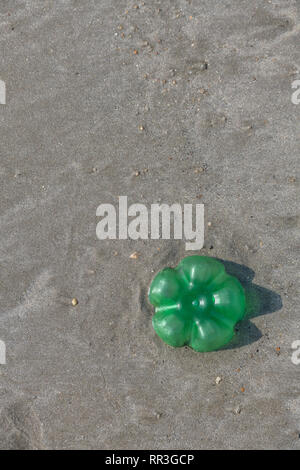 Empty plastic soft drink bottle left embedded in silty sand of beach. For plastic beach pollution, ocean polluting plastic, plastic bottles UK beach. Stock Photo