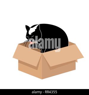 Cute Big Cat Licking a Paw in a Small Cardboard Box. Simple illustration for cards or prints, vector icon for web design. Stock Vector