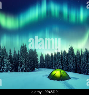 Aurora borealis. Northern lights in winter forest. Sky with polar lights and stars. Night winter landscape with aurora, green tent and pine tree forest. Travel concept