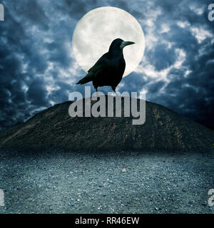 giant raven bird on top of a hill at night with full moon behind Stock Photo