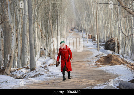 CHINA province Xinjiang, prefecture Kaxgar, Shufu County, uighur town Upal at Karakoram highway, winter time, poplar trees Stock Photo