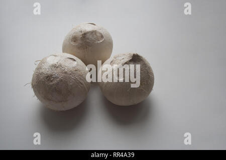 Three coconuts isolated on white background Stock Photo