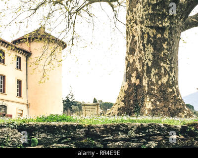 Le Chateau de la Mole Saint-Exupery Avril, 03, 2016 France - Nature - Le Club 55 - Old Story - Stock Photo