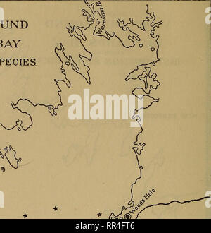 . [A biological survey of the waters of Woods Hole and vicinity. Marine animals; Marine plants. UpC^ ¥ * *. Please note that these images are extracted from scanned page images that may have been digitally enhanced for readability - coloration and appearance of these illustrations may not perfectly resemble the original work.. United States. Bureau of Fisheries; Sumner, Francis Bertody, 1874-; Osburn, Raymond Carroll, 1872-; Cole, Leon Jacob, 1877-; Davis, Bradley Moore, 1871-. Washington, Govt. Print. Off. Stock Photo