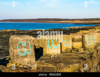 World War II relics: graffiti on concrete anti tank blocks on coast, Longniddry, East Lothian, Scotland, UK Stock Photo