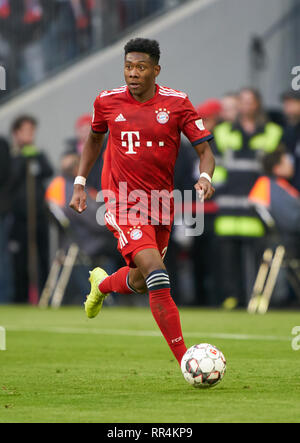 Munich, Germany. 23rd February, 2019. David ALABA, FCB 27 drives, controls the ball, action, full-size, Single action with ball, full body, whole figure, cutout, single shots, ball treatment, pick-up, header, cut out,  FC BAYERN MUNICH - HERTHA BSC BERLIN 1-0  - DFL REGULATIONS PROHIBIT ANY USE OF PHOTOGRAPHS as IMAGE SEQUENCES and/or QUASI-VIDEO -  1.German Soccer League , Munich, February 23, 2019  Season 2018/2019, matchday 24, FCB, München,  © Peter Schatz / Alamy Live News Stock Photo