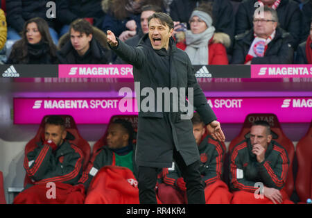 Munich, Germany. 23rd February, 2019. headcoach Niko Kovac (FCB), team manager, coach,  Gesticulate, give instructions, action, single image, gesture, hand movement, pointing, interpret, mimik, RAFINHA (FCB 13) Franck RIBERY, FCB 7 Renato SANCHES, FCB 35 Spare Bank, Player Bank, Reserve, Coach Bank,  FC BAYERN MUNICH - HERTHA BSC BERLIN 1-0  - DFL REGULATIONS PROHIBIT ANY USE OF PHOTOGRAPHS as IMAGE SEQUENCES and/or QUASI-VIDEO -  1.German Soccer League , Munich, February 23, 2019  Season 2018/2019, matchday 24, FCB, München,  © Peter Schatz / Alamy Live News Stock Photo