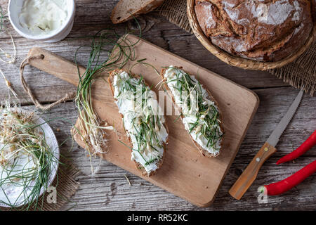 Sourdough bread with cottage cheese and wild edible plant allium vineale, or crow garlic Stock Photo