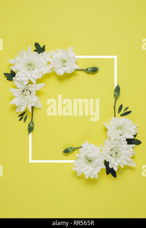 Creative flowers composition. Wreath made of white flowers on green background with a drawn frame. Mothers day, womens day, spring concept. Flat lay,  Stock Photo