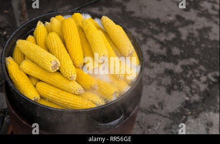 Corn cobs boiling in hot water in large pot at flea market. Stock Photo