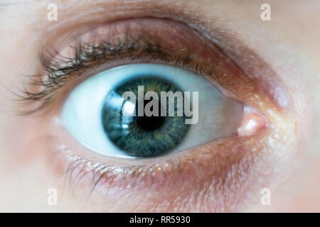 Close-up on male green wide open eye. Stock Photo