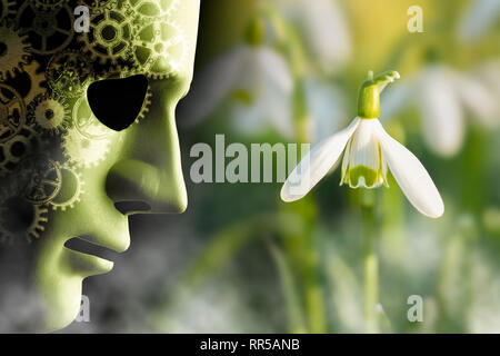 Working in harmony with nature concept. Mask face with mechanical cog brain looking onto a delicate snowdrop plant in a misty garden. Stock Photo