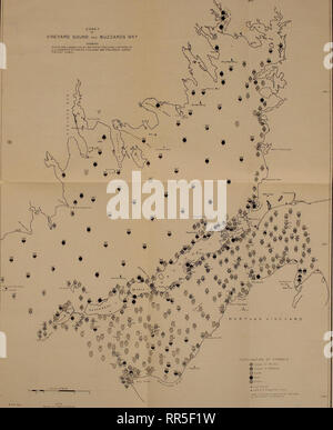 . [A biological survey of the waters of Woods Hole and vicinity. Marine animals; Marine plants. . Please note that these images are extracted from scanned page images that may have been digitally enhanced for readability - coloration and appearance of these illustrations may not perfectly resemble the original work.. United States. Bureau of Fisheries; Sumner, Francis Bertody, 1874-; Osburn, Raymond Carroll, 1872-; Cole, Leon Jacob, 1877-; Davis, Bradley Moore, 1871-. Washington, Govt. Print. Off. Stock Photo