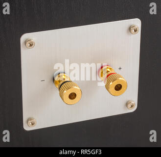 closeup of speaker output terminal on the back of bookshelf speaker ...