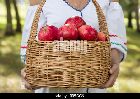 girl is holding a basket with red apples Stock Photo