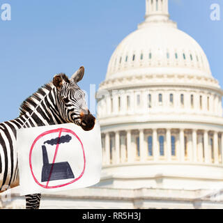 Zebra protester holding sign with no plant factory Stock Photo