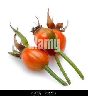 Fresh rose hips isolated on white background Stock Photo
