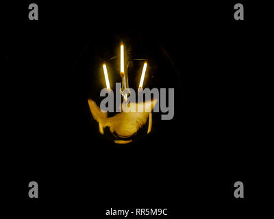 lightbulb on dark background with bright yellow shining wire Stock Photo
