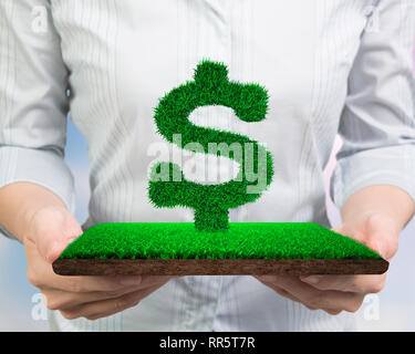 Concept of green circular economy, investment, supply and solution, woman hands holding grass in dollar sign shape on meadow with mud, front view. Stock Photo