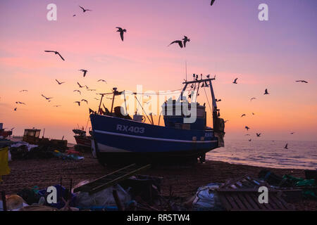 Hastings, East Sussex, UK. 23rd February 2019. Seagulls swirl round Hastings fishing boat at a misty sunrise on the Old Town Stade fishing boat beach..