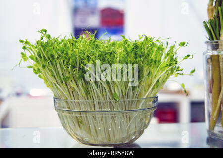 fresh snow pea sprouts and Green peas in wooden bow Stock Photo