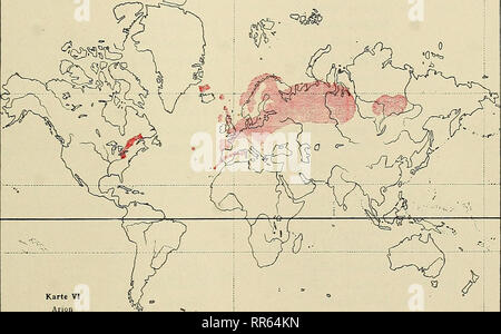 . Abhandlungen der Senckenbergischen Naturforschenden Gesellschaft. Natural history; Natural history. Die geographische Verbreitung der Nacktschnecken. 25 Subgenus herabdrücken, was mir nicht wahrscheinlich ist, da steindachneri in Alkokol noch 8 cm lang ist und die Hesperarion-Arten aus den kleinen Ariolimax niger Und hemphilli gebildet sind. Es besteht die Gattung also jetzt aus columbianus Gould, Middle Calif. bis British Columbia, mit maculatus Cockerell (B 17). columbianus stramineus Hemphill, Santa Cruz Island, Calif. californicus Cooper, San Matlo, Santa Clara, Santa Cruz County costari Stock Photo