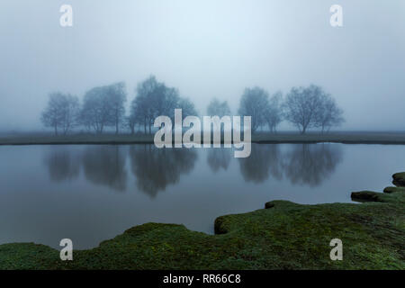 Fritham, New Forest, Hampshire, England, UK Stock Photo