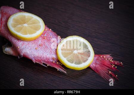 Two juicy lemon slices lie on fresh red fish. The fish is called sea bass. She marinated and will soon be sentenced very tasty.